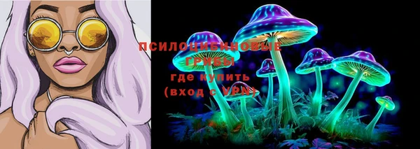 мет Покачи