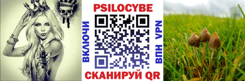 Псилоцибиновые грибы мухоморы  сайты даркнета наркотические препараты  Южа 